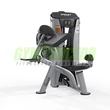 PREACHER CURL/TRICEPS EXTENSION -Hoist HD