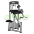 Bicepsz gép - Life Fitness Optima