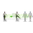 CSÍPŐ – ÉS FARIZOM GÉP - Life Fitness PRO2