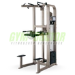 HÚZÓDZKODÓ – TOLÓDZKODÓ GÉP - Life Fitness PRO2