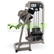 BICEPSZ GÉP - Life Fitness PRO2