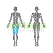 Matrix Leg Extension Aura Series – ülő lábnyújtógép