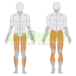 DUAL SYSTEM HORIZONTAL LEG PRESS – VÍZSZINTES LÁBTOLÓ -Panatta Fitevo