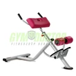 IPEREXTENSION 45° BENCH -Panatta Fitevo