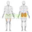 ADDUCTOR/ABDUCTOR MACHINE – COMBKÖZELÍTŐ/COMBTÁVOLÍTÓ GÉP -Panatta Fitevo