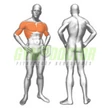 PECTORAL MACHINE/BASE – MELLPRÉS GÉP -Panatta Fitevo