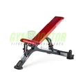 FULLY ADJUSTABLE BENCH – ÁLLÍTHATÓ PAD -Panatta Freeweight Hp