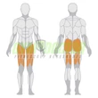 HACK SQUAT – GUGGOLÓ GÉP -Panatta Freeweight Hp