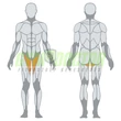 ADDUCTOR MACHINE – COMBKÖZELÍTŐ GÉP -Panatta Monolith