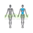 Precor Back Extension Discovery Series - mélyhátgép