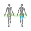 Precor Prone Leg Curl Discovery Series - fekvő lábhajlítógép