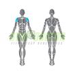 Precor Lateral Raise Discovery Series - oldalemelő vállgép