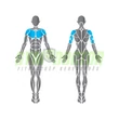 Precor Chest Press Discovery Series – lapsúlyos mellgép
