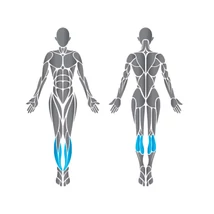 Cybex Álló Vádli -Cybex VR3