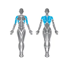 Precor Diverging Lat Pulldown Discovery Series - lehúzó hátgép, széttartó mozgás