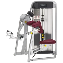 Cybex Bicepsz gép -Cybex Eagle