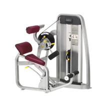 Cybex Mélyhát gép -Cybex Eagle