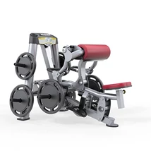 BICEP CURL -Hoist RPL