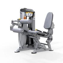 LEG CURL -Hoist RS - combhajlító
