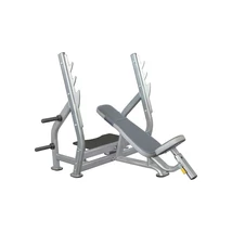 INCLINE BENCH – POZITÍV FEKVENYOMÓ PAD -Impulse Strength IT7