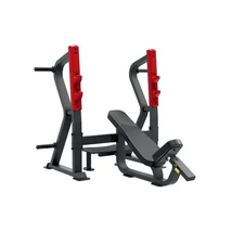 INCLINE BENCH PRESS – FERDE FEKVENYOMÓPAD -Impulse Strength - SL