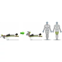 COMBHAJLÍTÓ FEKVŐ GÉP - Life Fitness Optima