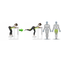 FARIZOM GÉP - Life Fitness PRO1