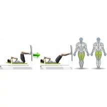 FEKVŐ LÁBTOLÓ GÉP - Life Fitness PRO1