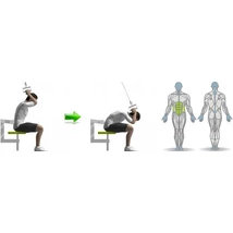 TARKÓHOZ HÚZÓ GÉP - Life Fitness PRO1