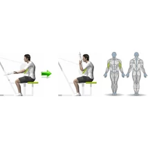 BICEPSZ GÉP - Life Fitness PRO2