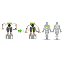 MELLNYOMÓ GÉP - Life Fitness PRO2