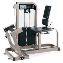 ÜLŐ VÁDLI GÉP - Life Fitness PRO2