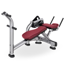 SÚLYTÁRCSÁS HASPRÉSPAD - Life Fitness Signature