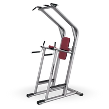 HÚZÓDZKODÓ – TOLÓDZKODÓ ÁLLVÁNY - Life Fitness Signature