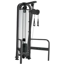 DUPLACSIGÁS EDZŐTORONY - Life Fitness Signature