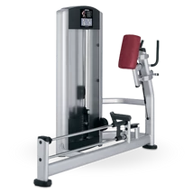 FARIZOM GÉP - Life Fitness Signature