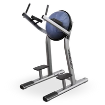 LÁBEMELŐ ÁLLVÁNY BOSUVAL - Life Fitness Signature