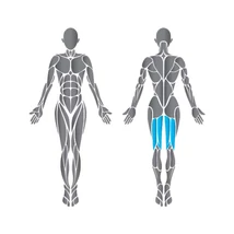 Matrix Prone Leg Curl Aura Series - fekvő lábhajlítógép