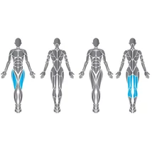 Matrix Seated Leg Curl Aura Series -ülő lábhajlítógép