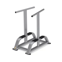 DIP STATION – TOLÓDZKODÓ ÁLLVÁNY - Nautilus Freedom Rack