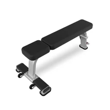 FLAT BENCH – VÍZSZINTES PAD - Nautilus Freedom Rack