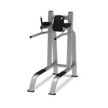 LEG RAISE/DIP – LÁBFELHÚZÓ/TOLÓDZKODÓ ÁLLVÁNY - Nautilus Freedom Rack