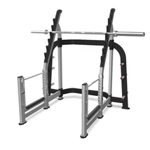 SQUAT RACK – SÚLYTARTÓ ÁLLVÁNY ÉS GUGOLÓ KERET - Nautilus Freedom Rack
