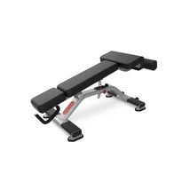 ADJUSTABLE DECLINE BENCH – ÁLLÍTHATÓ TÁMLÁS DÖNTÖTT PAD - Nautilus Freedom Rack