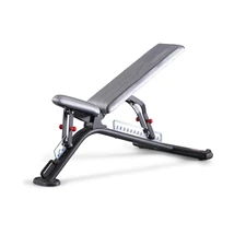 FULLY ADJUSTABLE BENCH – ÁLLÍTHATÓ PAD -Panatta Fitevo