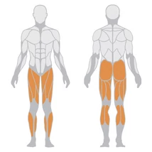 DUAL SYSTEM HORIZONTAL LEG PRESS – VÍZSZINTES LÁBTOLÓ -Panatta Fitevo