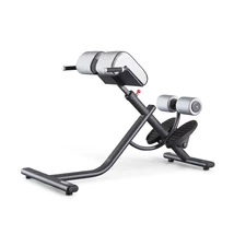 IPEREXTENSION 45° BENCH -Panatta Fitevo