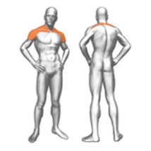 LATERAL DELTOIDS – OLDALSÓ VÁLLNYOMÓ -Panatta Fitevo