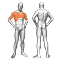 PECTORAL MACHINE – MELLPRÉS GÉP -Panatta Fitevo