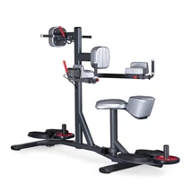 STANDING AND SEATED DOUBLE TWISTER -Panatta Fitevo